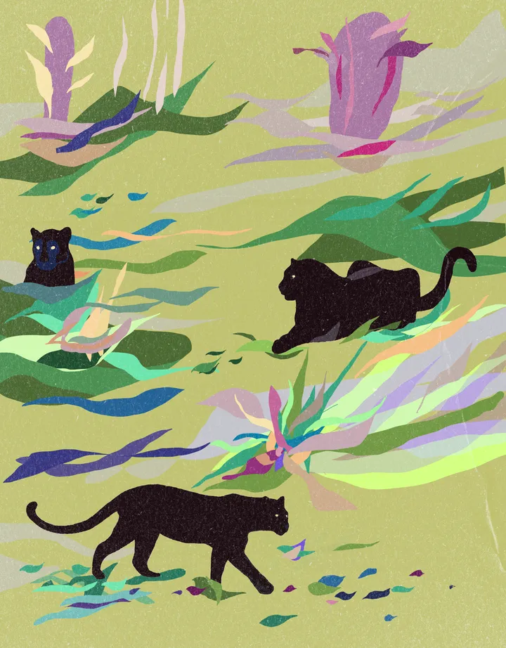 Big Cats — Prowling in the jungle