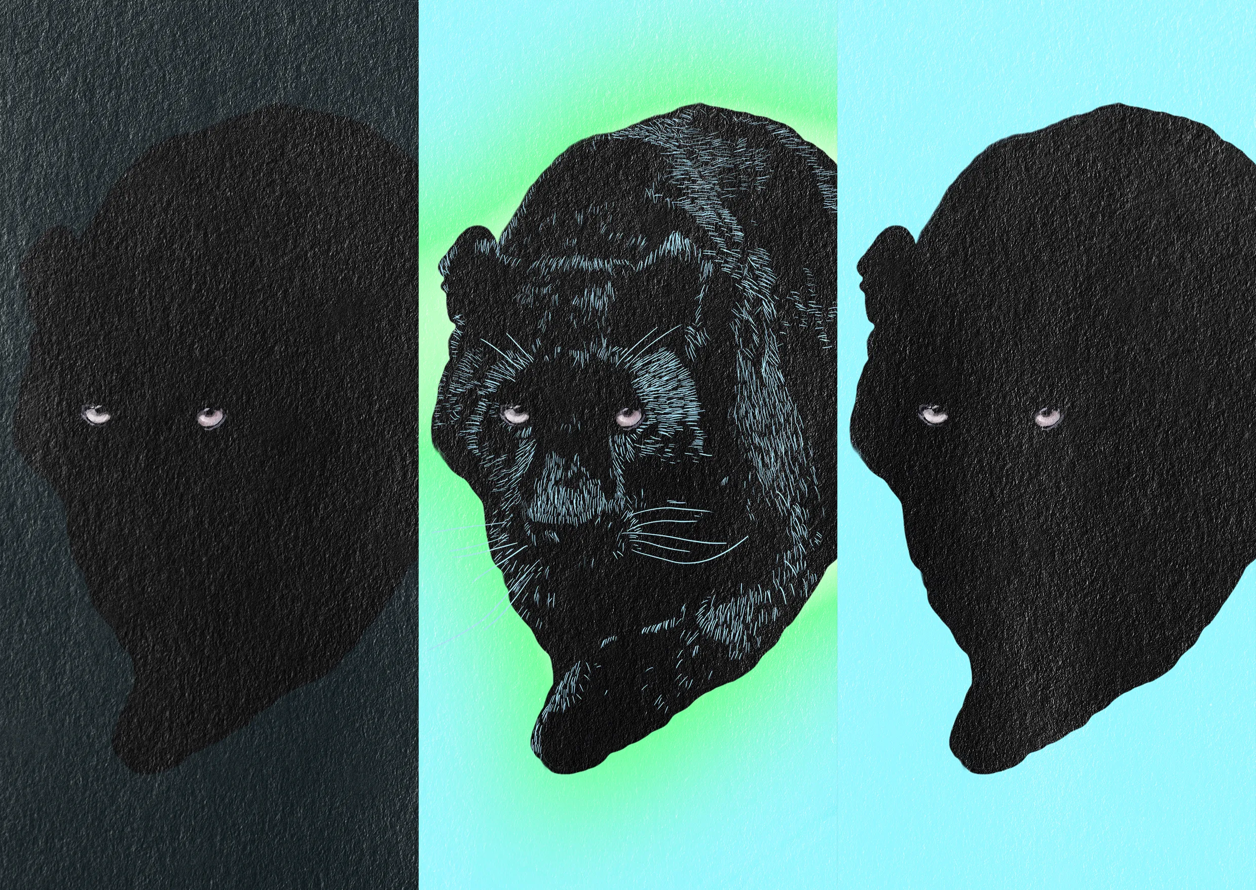 Big Cats — plate 2