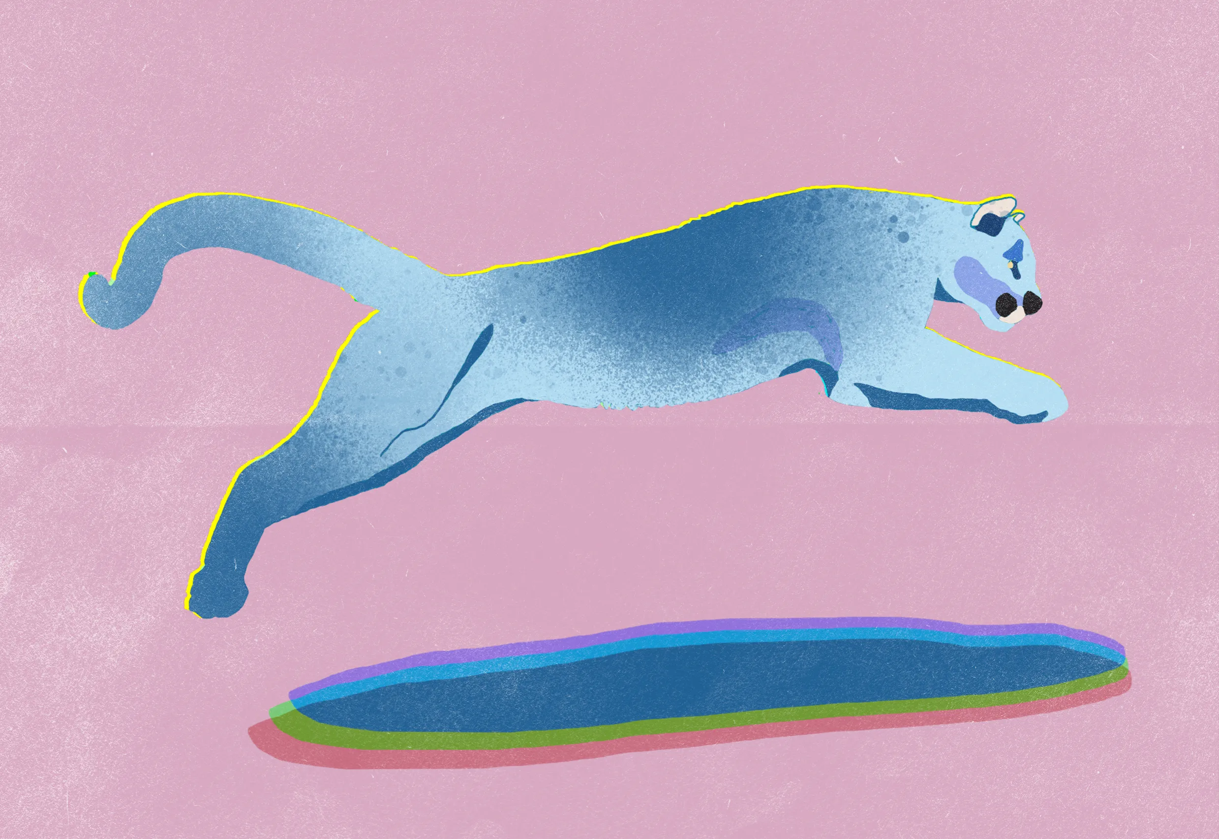 Big Cats — plate 3