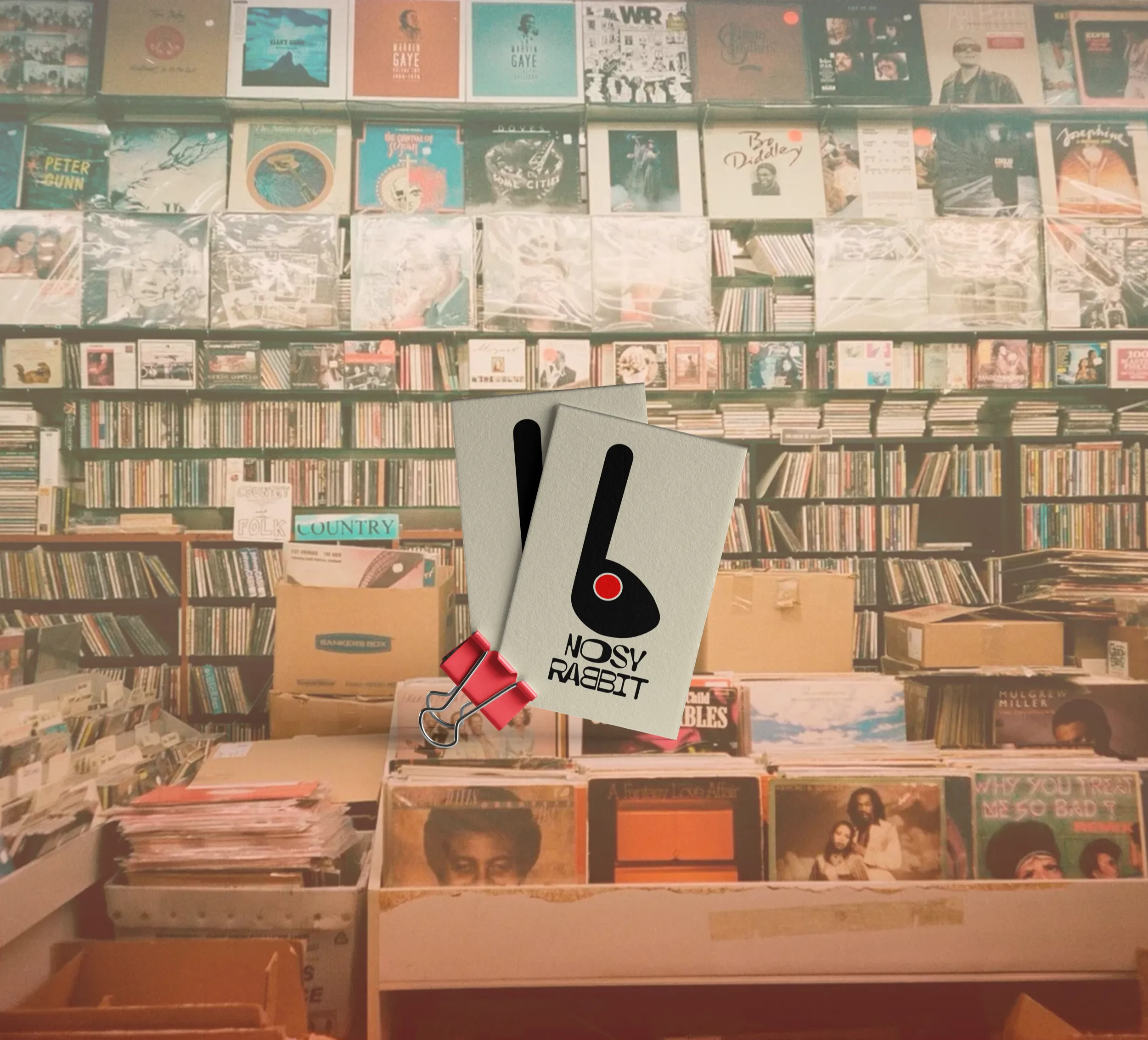 Nosy Rabbit — primary view
